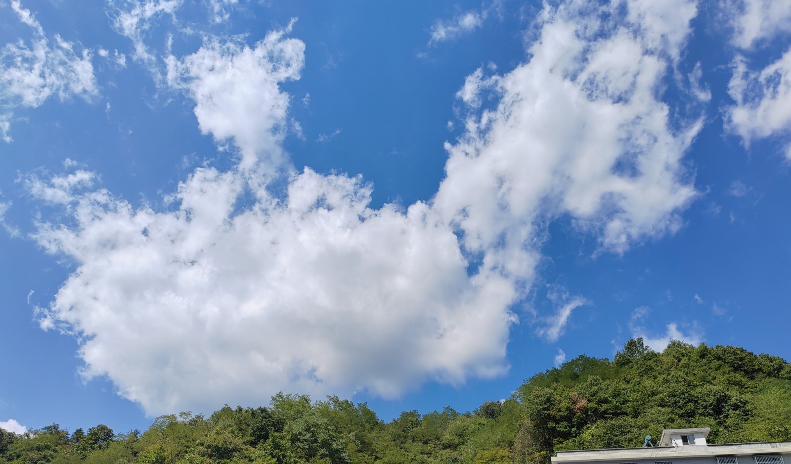 62f9e6a232f5c.jpg
