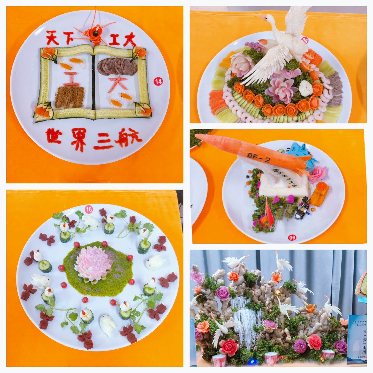 未命名.jpg
